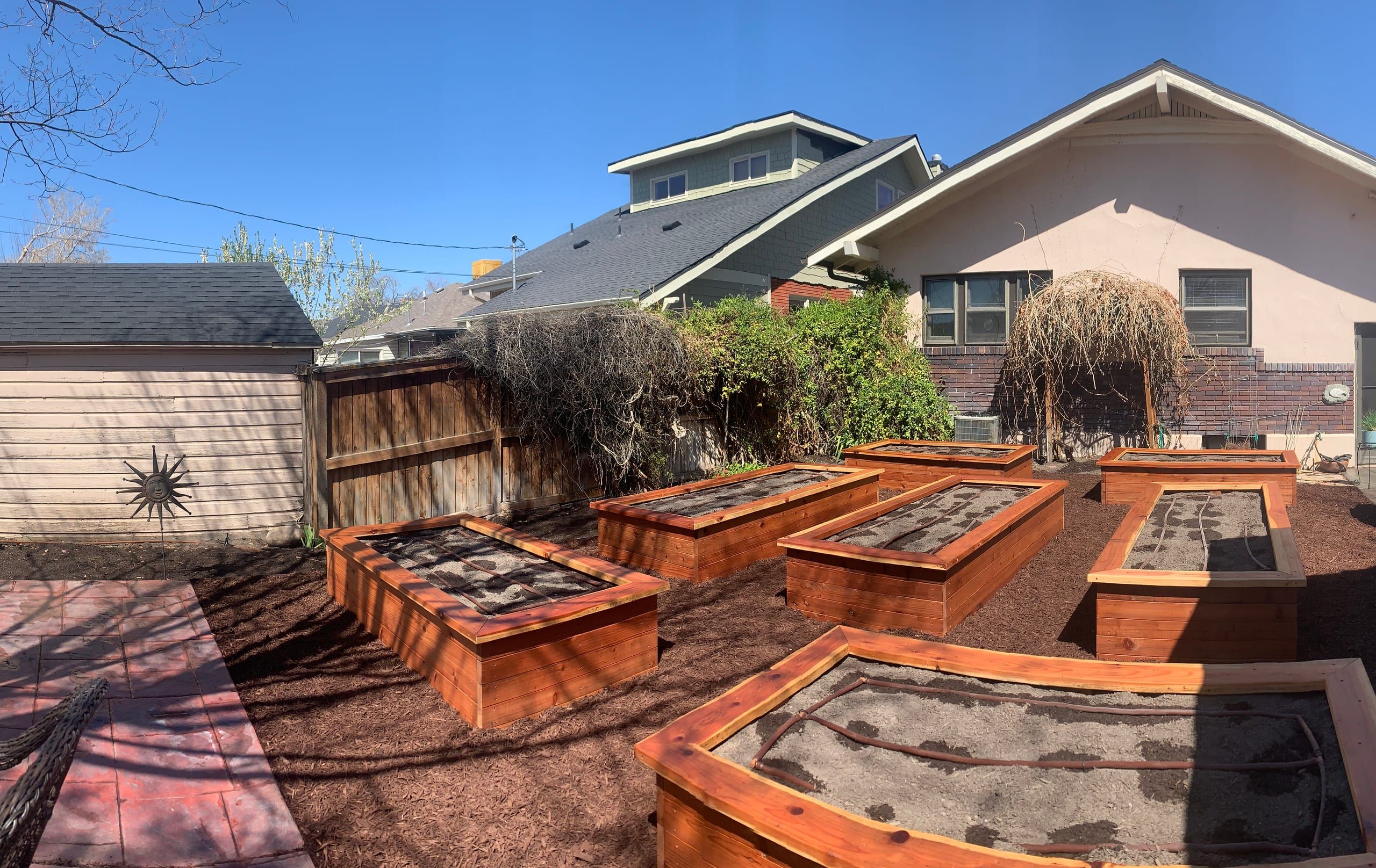 Raised wood garden beds filled with soil and drip lines, set in reddish-brown mulch in a backyard between an outbuilding and a house